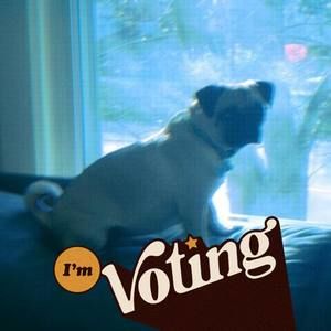 Meet your Posher, Shawn